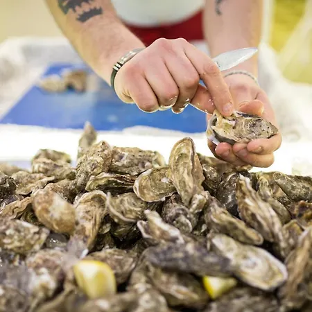 Hotel Holiday 3* 포자